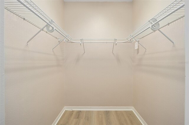 spacious closet featuring hardwood / wood-style flooring