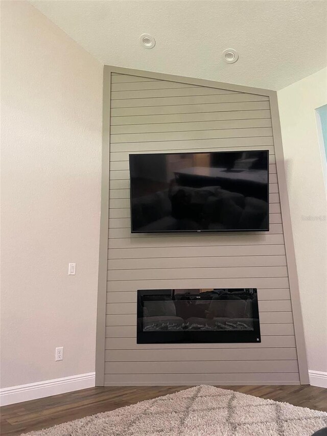 room details with a textured ceiling, a fireplace, and hardwood / wood-style flooring