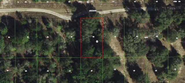 2405 Adams St, Inverness FL, 34453 land for sale