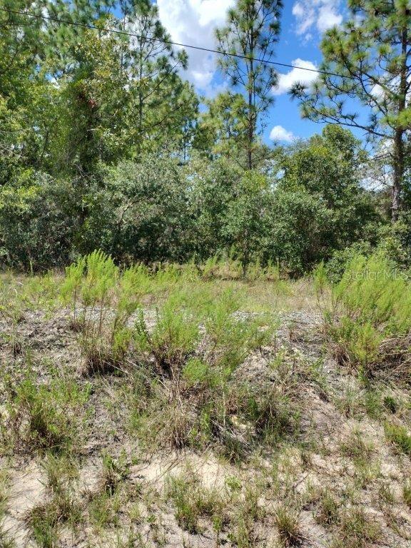 0 SW Cottonwood Ln, Dunnellon FL, 34431 land for sale