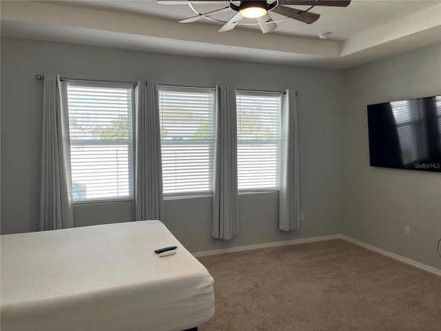 carpeted bedroom featuring multiple windows, ceiling fan, and a tray ceiling