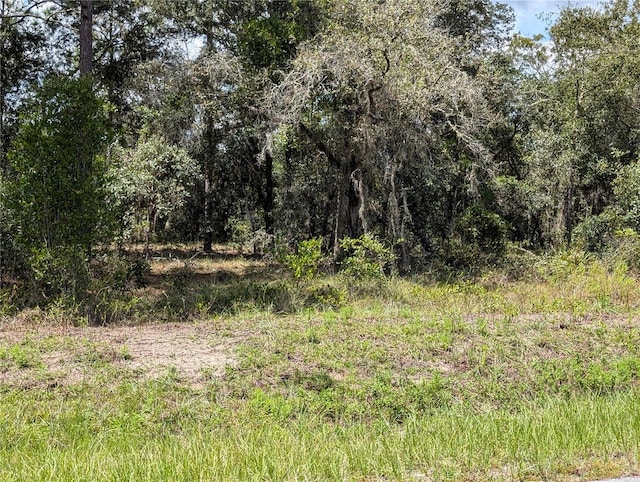 TBD SW Lobelia Ct, Dunnellon FL, 34431 land for sale