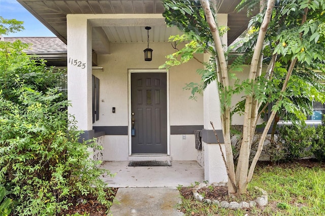 view of exterior entry with roof with shingles and stucco siding