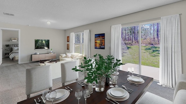 carpeted dining room with a textured ceiling and a healthy amount of sunlight