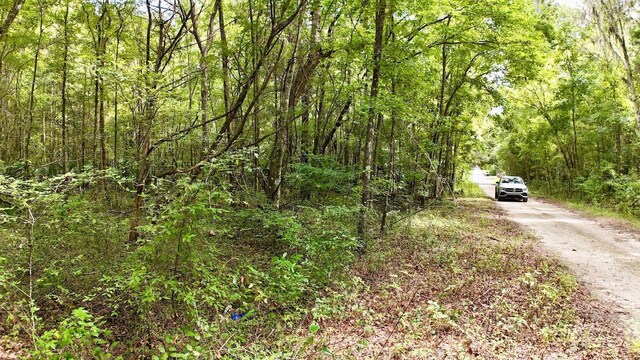 SW 14th St, Ocala, FL 34481 - photo 3