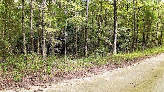 SW 14th St, Ocala, FL 34481 - photo 4