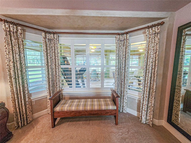 sitting room with carpet and a textured ceiling