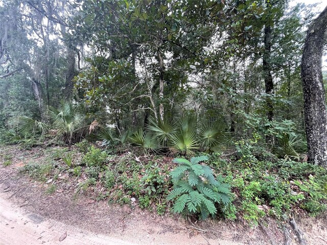 TBD NE 199th Pl, Fort Mc Coy FL, 32134 land for sale