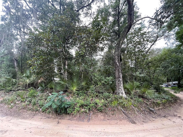 Listing photo 2 for TBD NE 199th Pl, Fort Mc Coy FL 32134