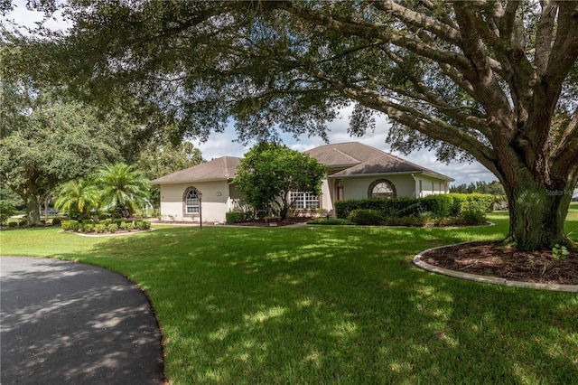 view of front of home with a front lawn