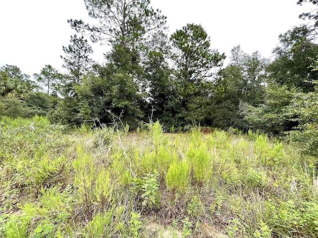 Begonia Ct, Dunnellon FL, 34431 land for sale