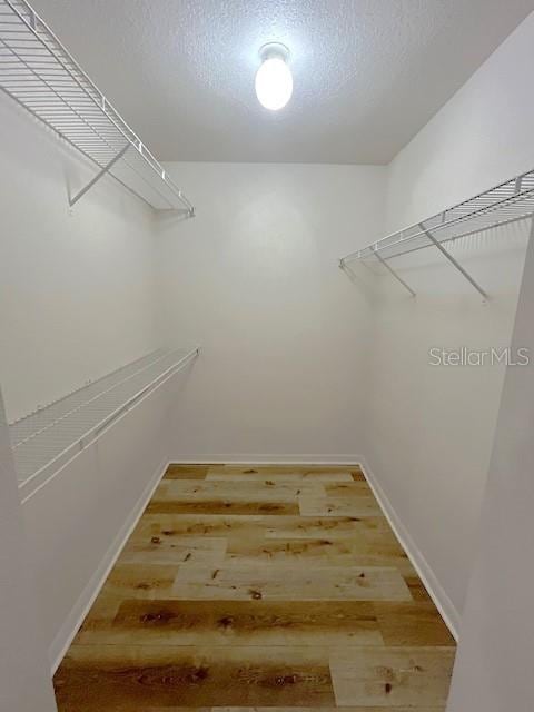 spacious closet featuring wood-type flooring