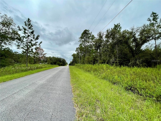 Listing photo 2 for Floral Ct, Dunnellon FL 34431