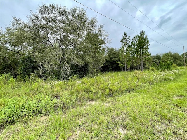 Floral Ct, Dunnellon FL, 34431 land for sale