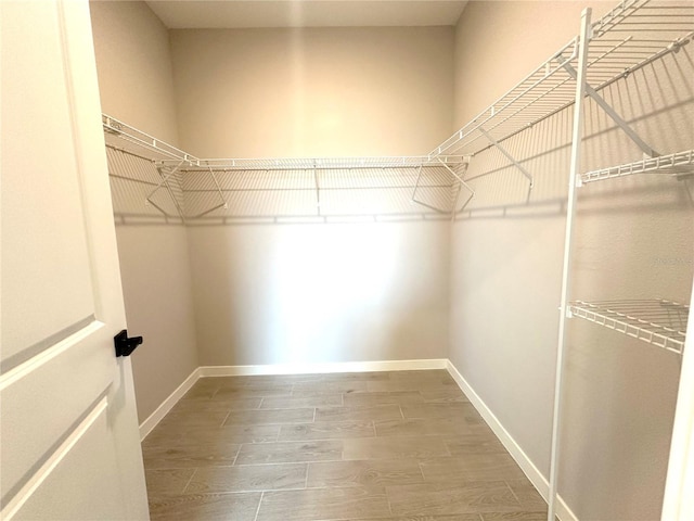 walk in closet featuring wood finished floors