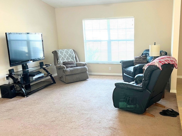 living room featuring carpet floors