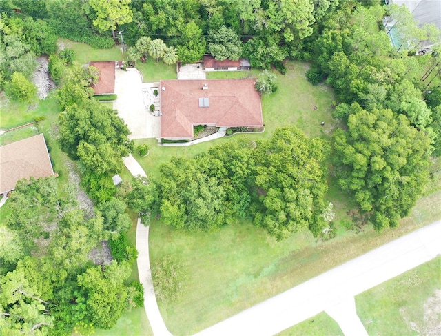 21389 SW 102nd Street Rd, Dunnellon, FL 34431 - drone / aerial view