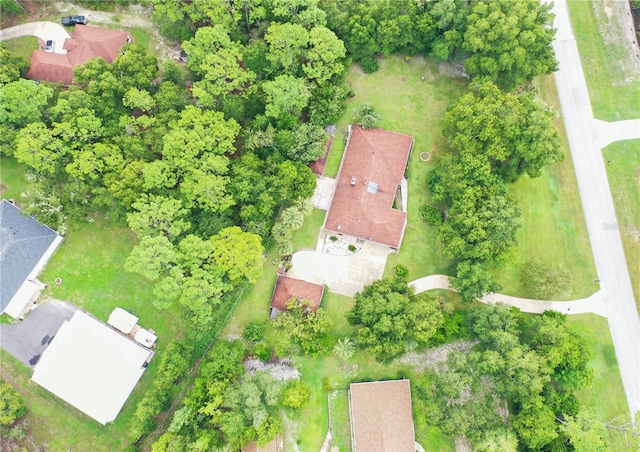 21389 SW 102nd Street Rd, Dunnellon, FL 34431 - bird's eye view