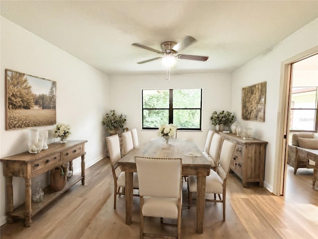 dining space with ceiling fan and light hardwood / wood-style floors