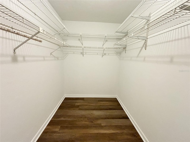 walk in closet featuring hardwood / wood-style flooring