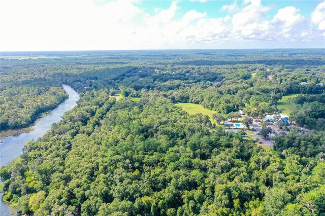 21389 SW 102nd Street Rd, Dunnellon, FL 34431 - bird's eye view with a view of trees