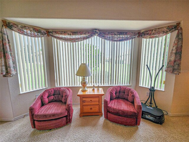 sitting room with a healthy amount of sunlight and carpet floors