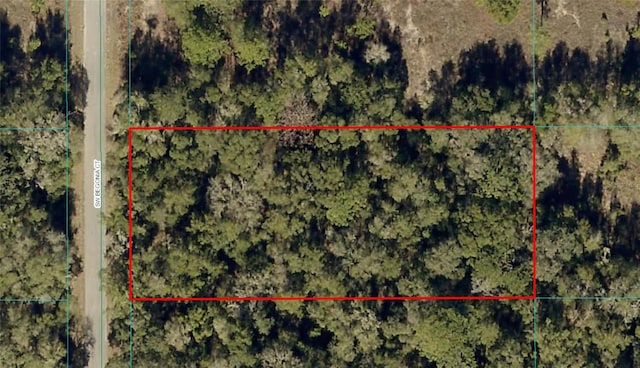 Begonia Ct, Dunnellon FL, 34431 land for sale