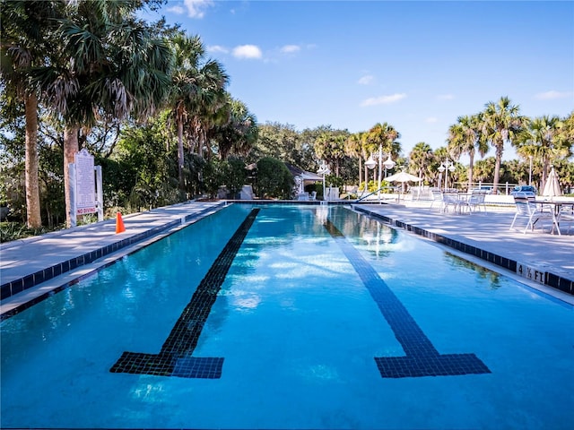 view of pool featuring a patio