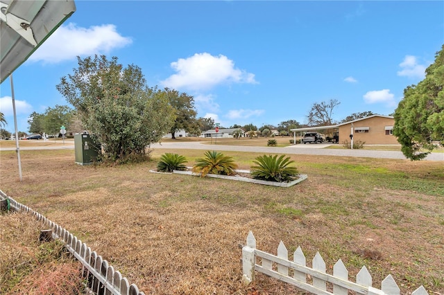 view of yard featuring a carport