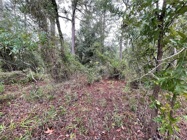 Listing photo 2 for LOT8 SE 21st Pl, Morriston FL 32668