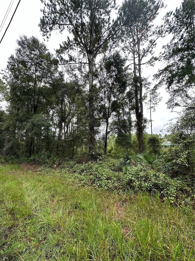 Listing photo 3 for TBD NE 155th St, Fort Mc Coy FL 32134