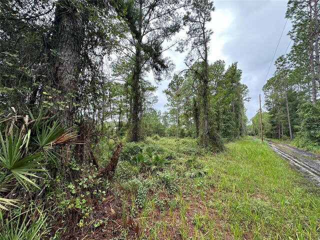 TBD NE 155th St, Fort Mc Coy, FL 32134 - photo 1