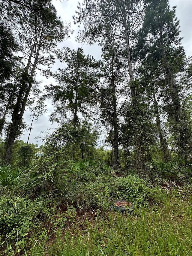 TBD NE 155th St, Fort Mc Coy, FL 32134 - photo 4