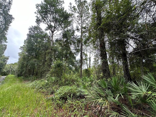 TBD NE 155th St, Fort Mc Coy, FL 32134 - photo 5