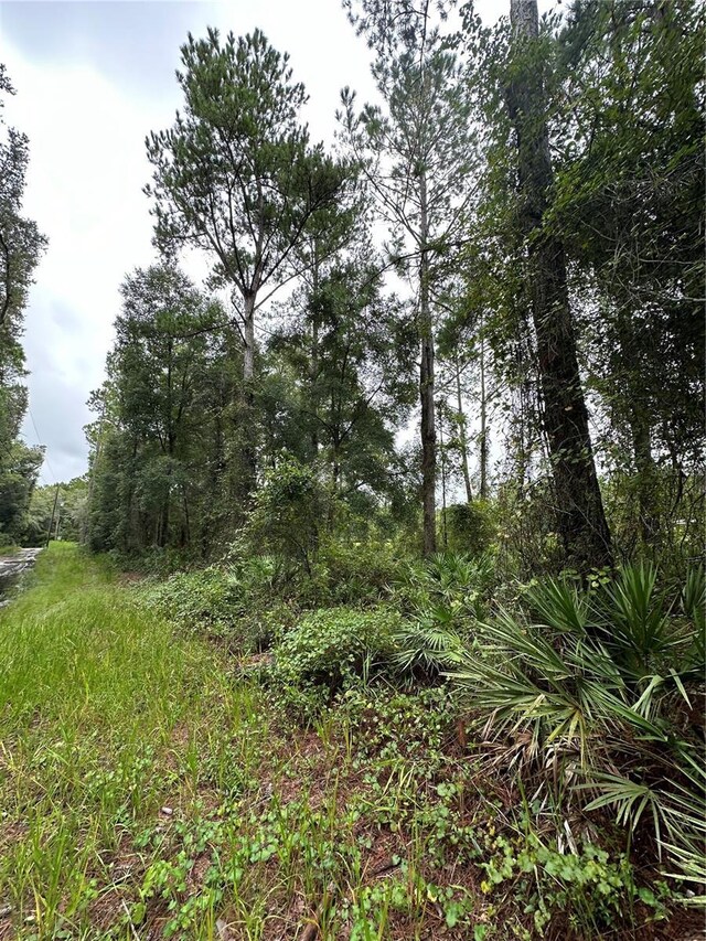 TBD NE 155th St, Fort Mc Coy, FL 32134 - photo 6