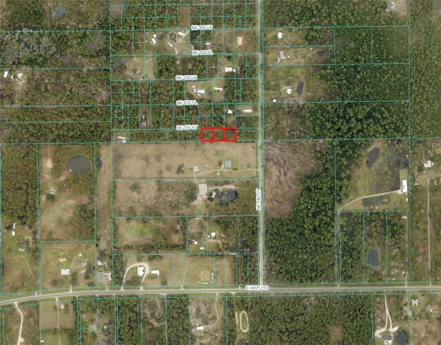 TBD NE 155th St, Fort Mc Coy, FL 32134 - photo 8