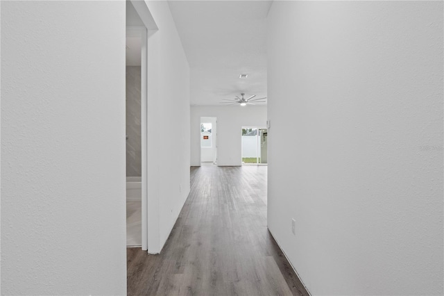 hallway featuring hardwood / wood-style floors