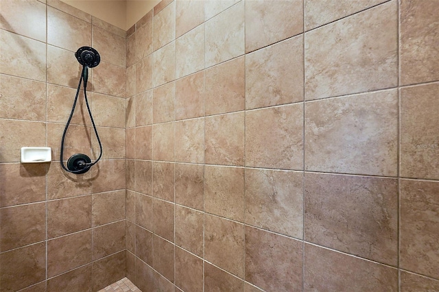 room details featuring tiled shower