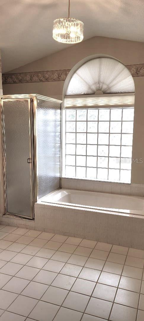 bathroom featuring tile patterned flooring, a notable chandelier, plenty of natural light, and a shower with door