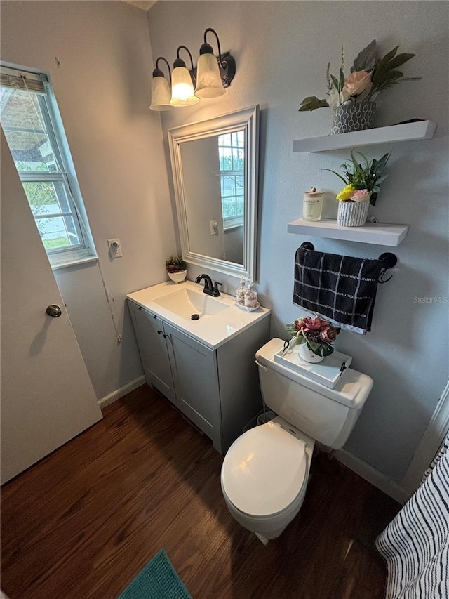 bathroom featuring vanity, toilet, and wood-type flooring