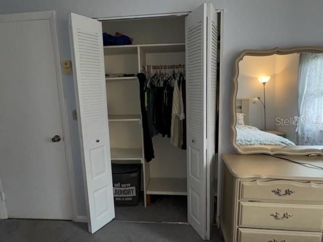 view of closet