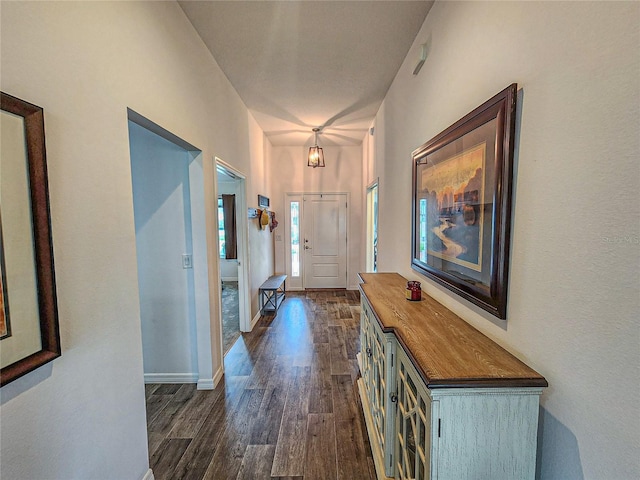 entryway featuring dark hardwood / wood-style flooring