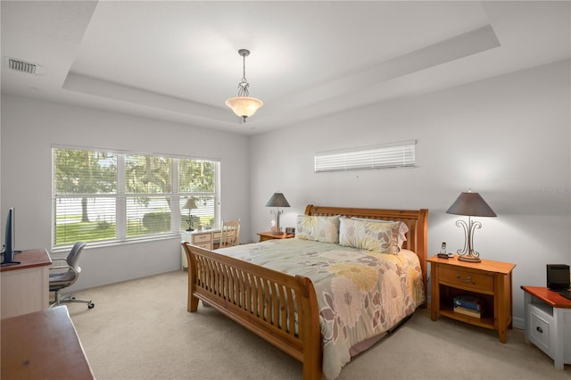 carpeted bedroom featuring a tray ceiling