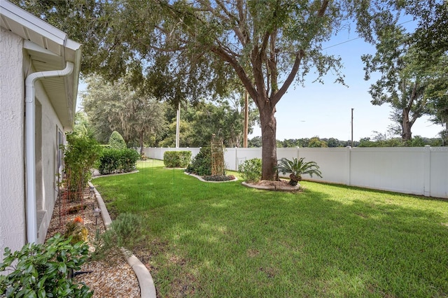 16369 SW 14th Avenue Rd, Ocala, FL 34473 - view of yard