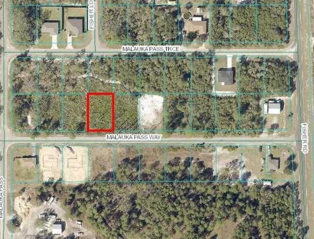 0 Malauka Pass Way, Ocklawaha FL, 32179 land for sale