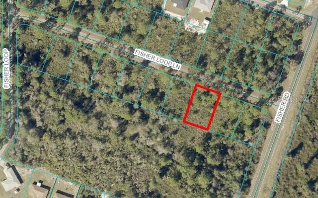 0 Fisher Loop Ln, Ocklawaha FL, 32179 land for sale