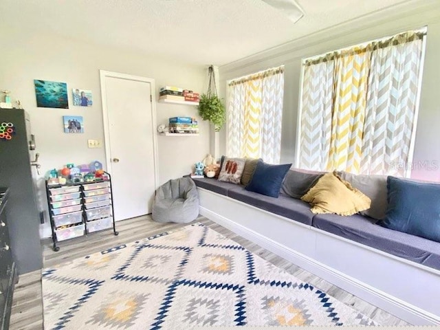 living room with hardwood / wood-style floors