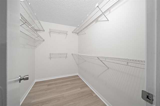 walk in closet with wood-type flooring