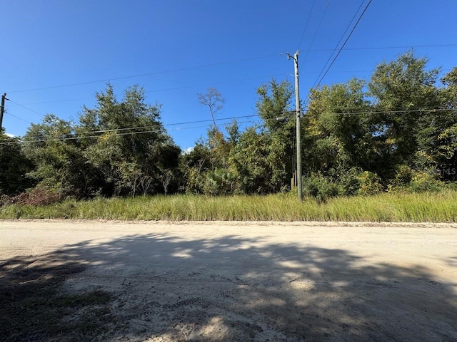 NE 131st Ln, Salt Springs FL, 32134 land for sale