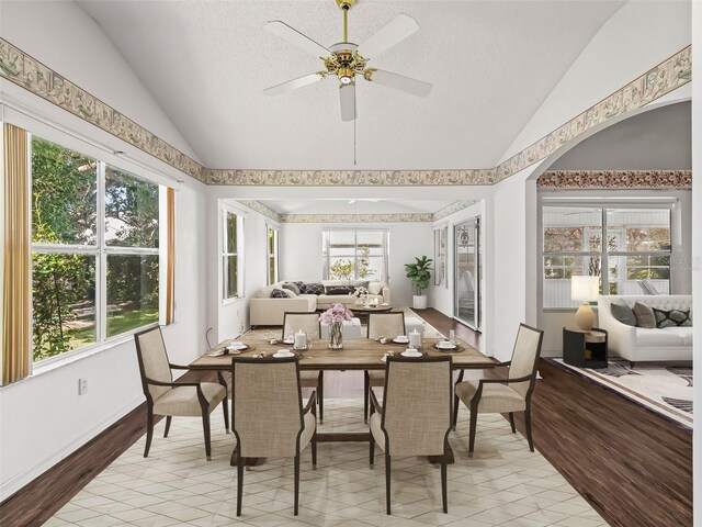 sunroom featuring vaulted ceiling, ceiling fan, and a healthy amount of sunlight